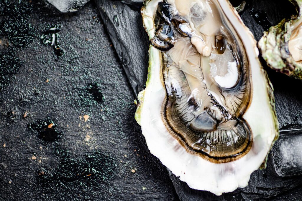 Fresh oyster on ice with dark background