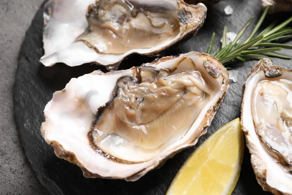 Fresh shucked oysters on a black slate plate